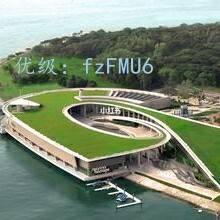 ߶